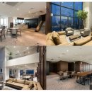 수노을동물병원 이미지