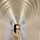 11650-17-102-6 | 부산 기장 아난티 코브 펜트하우스 C동 숙박 후기