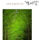 남이섬(관광)+제4땅굴+비무장지대/두타연(1박2일) 8월20~21일(토일)1박2일 이미지