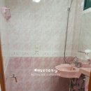 해달공인중개사사무소 이미지