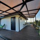 나른한 당근 이미지