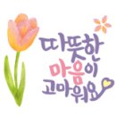 오동통산오징어