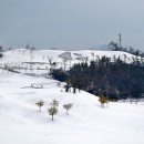 거제 드비치 골프클럽 이미지