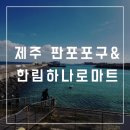 한림마트 | 제주 판포포구 &amp; 한림 농협하나로마트 방문 후기 :: 회, 밀키트