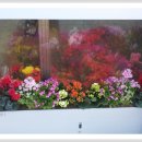 신영농장 이미지