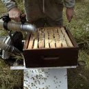 봉이농장 이미지