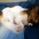 우강초등학교 이미지