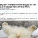 아,귀여워 이미지