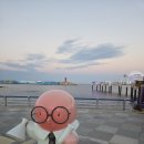 대진항 해상공원 | 강원 고성 여행, 대진항 해상공원 후기 및 정보