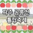 국민건강보험공단 파주지사 | 파주 공릉천 튤립축제 주차 실시간 개화 상황