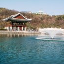 분당중앙공원 이미지