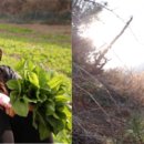 김종선농장 이미지