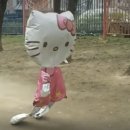 세나요양병원 | 자궁근종 단일공 로봇수술 한 달 경과 후기 및 팁