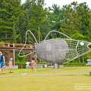 제주도립미술관 이미지