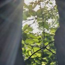 논현포대근린공원(축구장)화장실 이미지