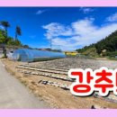 티티부동산공인중개사사무소 이미지