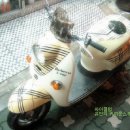 비노 - 서구 문정로 77 | 비노