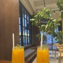 머스트커피 | 울산 머스트커피(MUST COFFEE) 솔직 후기 커피와 건강 음료 모두 만족!