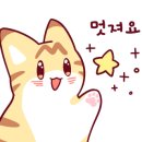 알럽에스제이 이미지