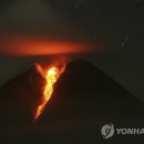 새(화산)2 이미지