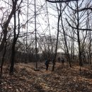 인천능내초등학교 이미지