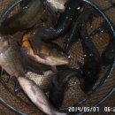 노지하우스 이미지