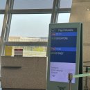 이서작은도서관 | 싱가포르 가성비호텔 머큐어 싱카포르 부기스 로프트 방 후기 + 근처 맛집 진짜치킨