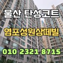 (주)성원환경 | 울산 탄성코트 염포성원상떼빌 베란다 누수흔적 깨끗하게 삭제