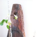 순성미술관 이미지