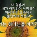 소망정신과