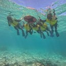 푸른정비 | 오키나와여행 :: 푸른동굴 스노쿨링 액티비티 후기! - 세루리안블루