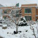 물안개농박 이미지