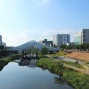 원도심 어울림길 이미지