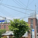 울산 남구 달동 그릭요거트 맛집 스몰팬트리 내돈내산 후기