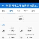 구룡상회