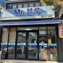 블루커트 티스토리