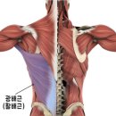 머신휘트니스 이미지