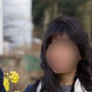 까꼬뽀꼬 이미지