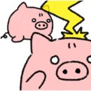 강원양돈농협 하나로마트 이미지