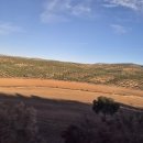 성채농원 이미지