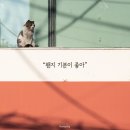 기분이 좋아 이미지