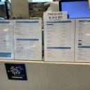 몰리힐스(MOLLI HILLS) 이미지