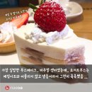 요거프레소 이미지