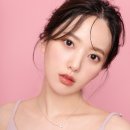 와이블 이미지