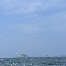 천지딜리버리 네이버블로그