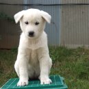 건영축산 이미지