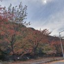 지리산나들이농원 이미지