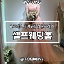 W#22 드레스대여 촬영용드레스대여 가성비 드레스 피팅 후기 <셀프웨딩홈>