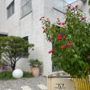 수일로233번길 이미지