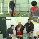 애니멀즈 이미지